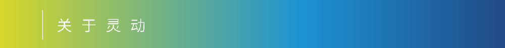 關(guān)于靈動(dòng)